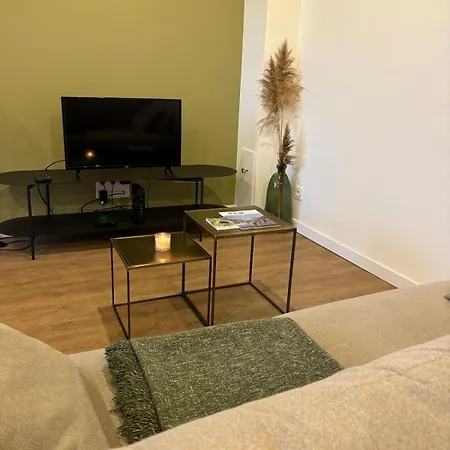 Appartement Duplex - Secteur Gare Nancy